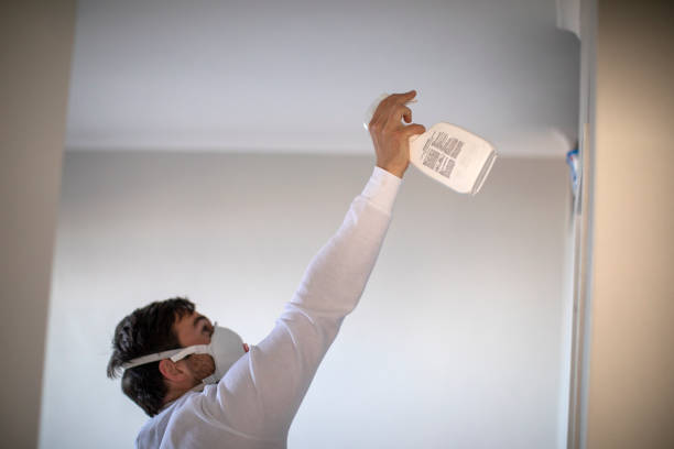 Best Basement Mold Remediation in Kings Park West, VA