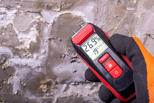 Best Crawl Space Mold Remediation in Kings Park West, VA