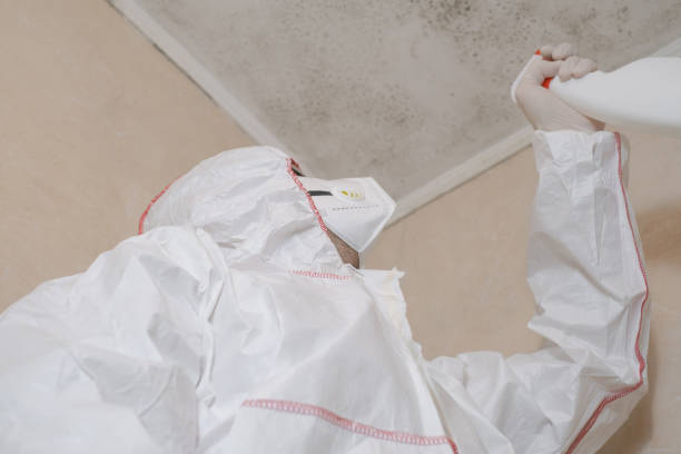 Best Emergency Mold Remediation in Kings Park West, VA